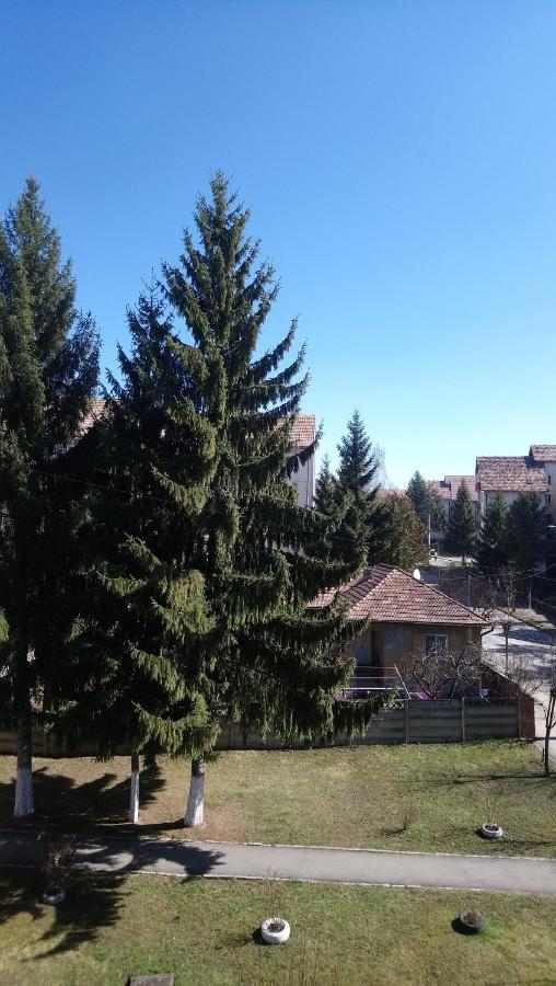 Ferienwohnung Simple And Comfortable Miercurea Ciuc Exterior foto